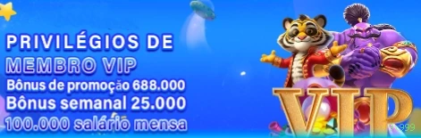 Recursos Exclusivos